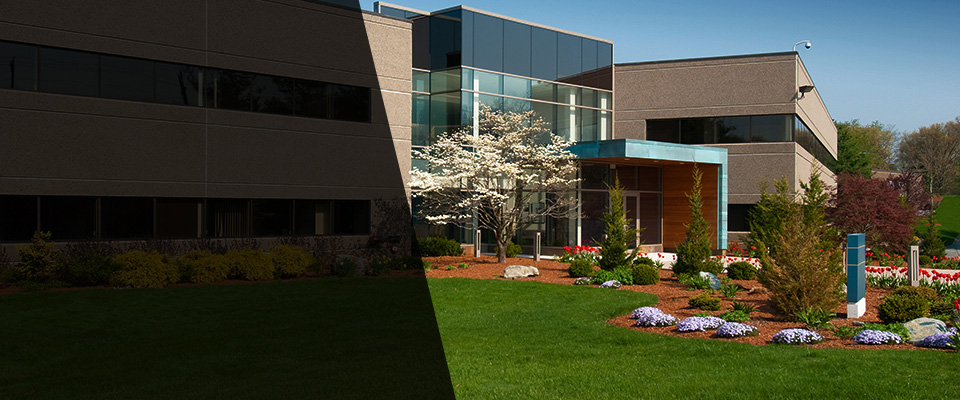 Helendale Landscapers