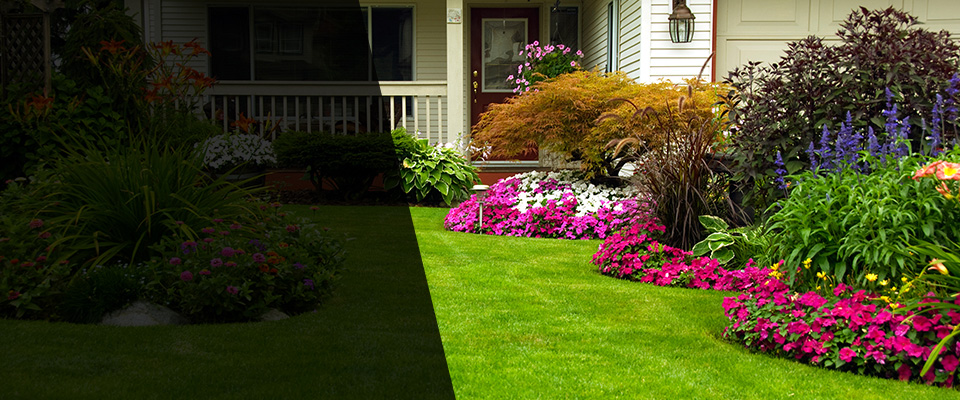Helendale Landscapers