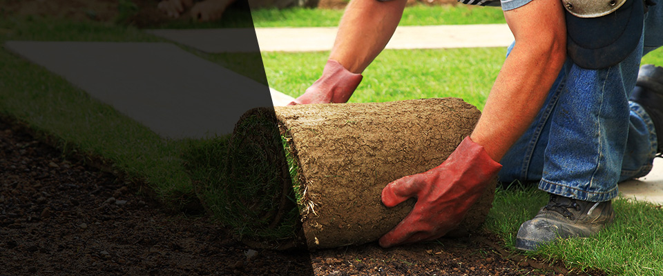 Helendale Landscapers
